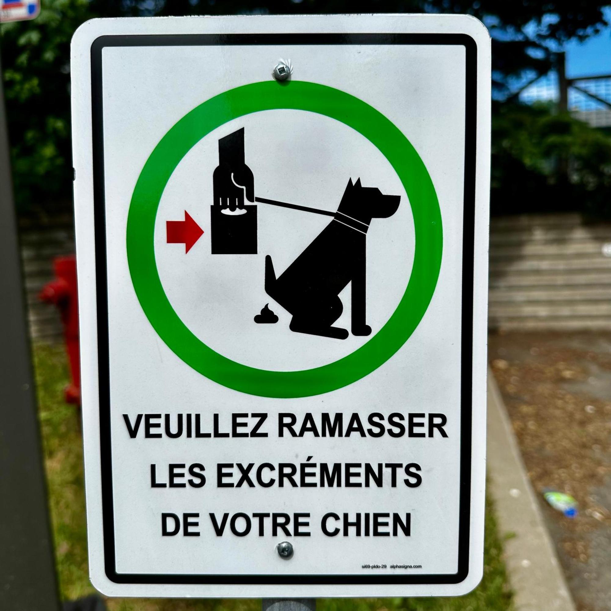 Initial - Explorateur - Chutes-Montmorency Boischatel Ngoại thất bức ảnh