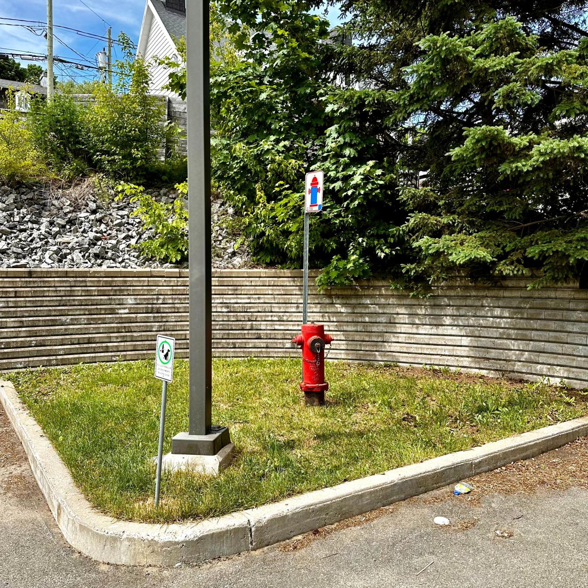 Initial - Explorateur - Chutes-Montmorency Boischatel Ngoại thất bức ảnh